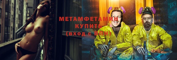 индика Богородицк
