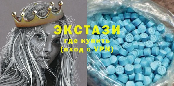 индика Богородицк