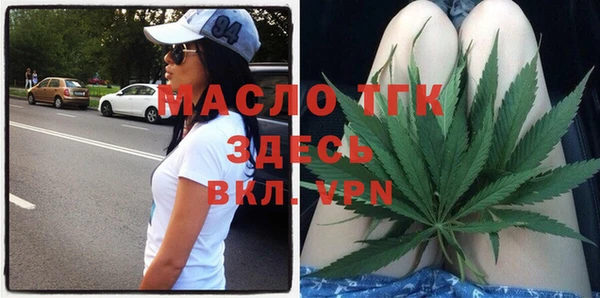 индика Богородицк