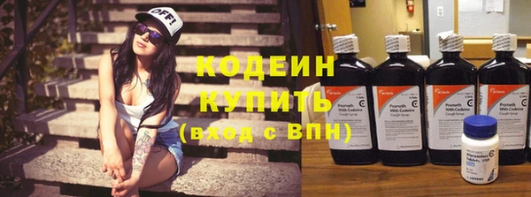 индика Богородицк