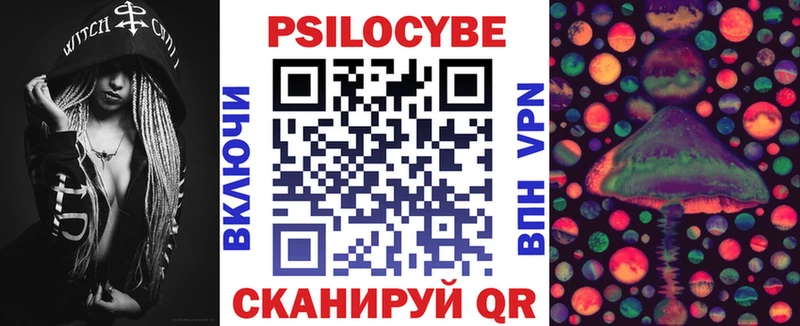 Галлюциногенные грибы Psilocybe  Волосово 