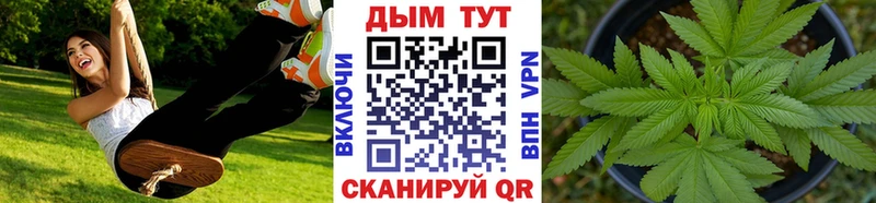 Канабис THC 21%  где найти   Волосово 